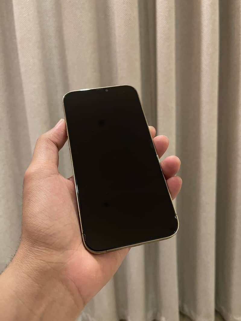 Apple iPhone 12 Pro Max 0