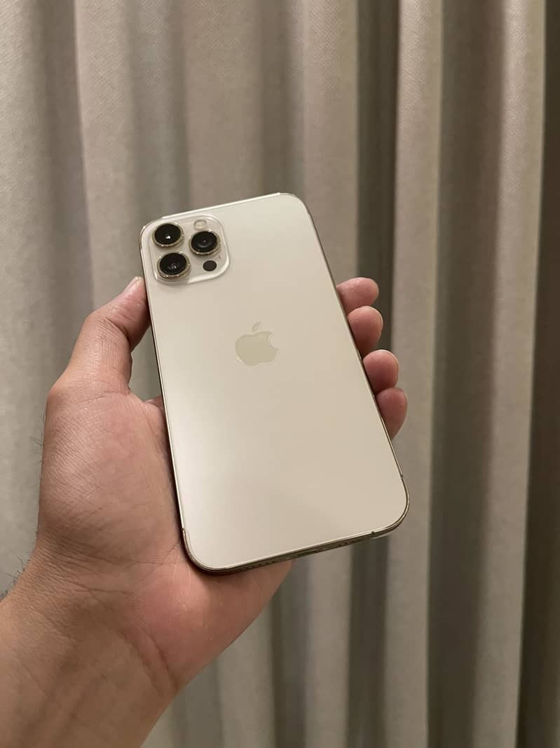 Apple iPhone 12 Pro Max 1