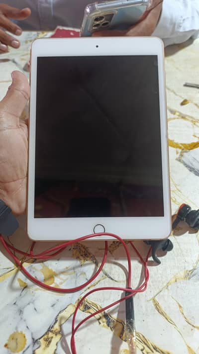 Ipad Mini 5