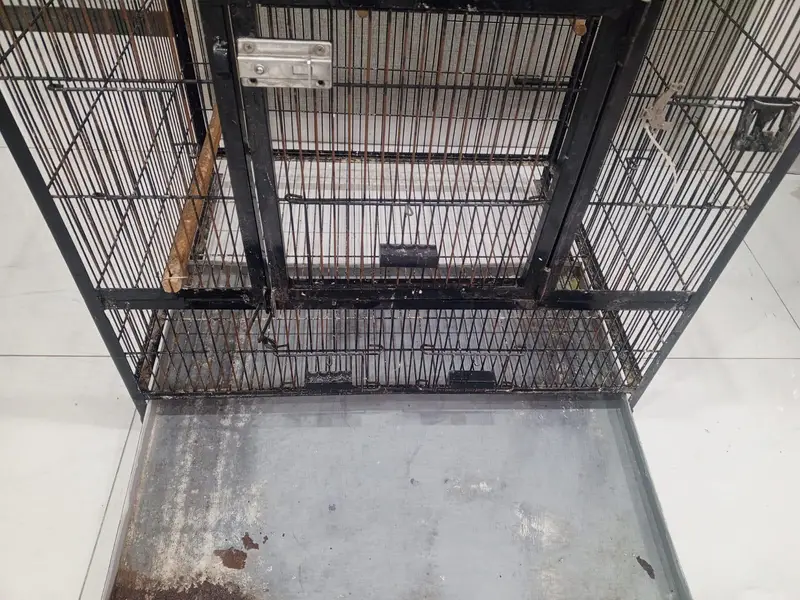 3-Portion Bird Cage for Sale – Used, Good Condition — photo 3
