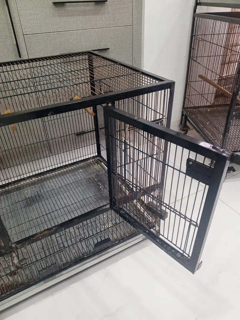 3-Portion Bird Cage for Sale – Used, Good Condition — photo 5