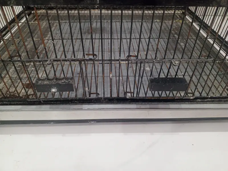 3-Portion Bird Cage for Sale – Used, Good Condition — photo 6