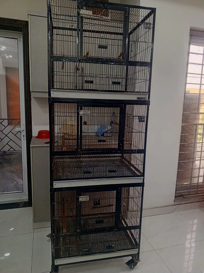 3-Portion Bird Cage for Sale – Used, Good Condition — photo 7