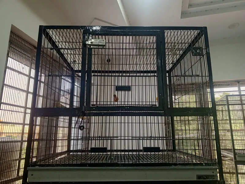 3-Portion Bird Cage for Sale – Used, Good Condition — photo 8