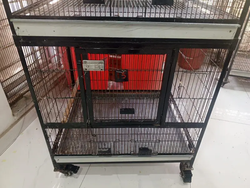 3-Portion Bird Cage for Sale – Used, Good Condition — photo 9