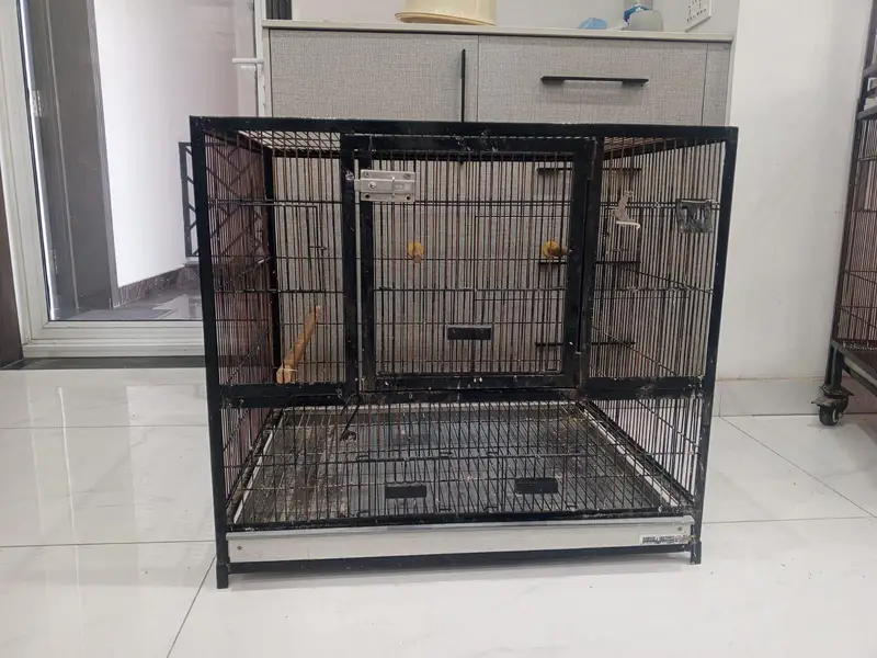 3-Portion Bird Cage for Sale – Used, Good Condition — photo 11