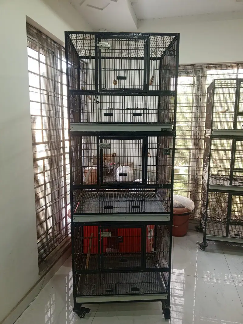 3-Portion Bird Cage for Sale – Used, Good Condition — photo 12