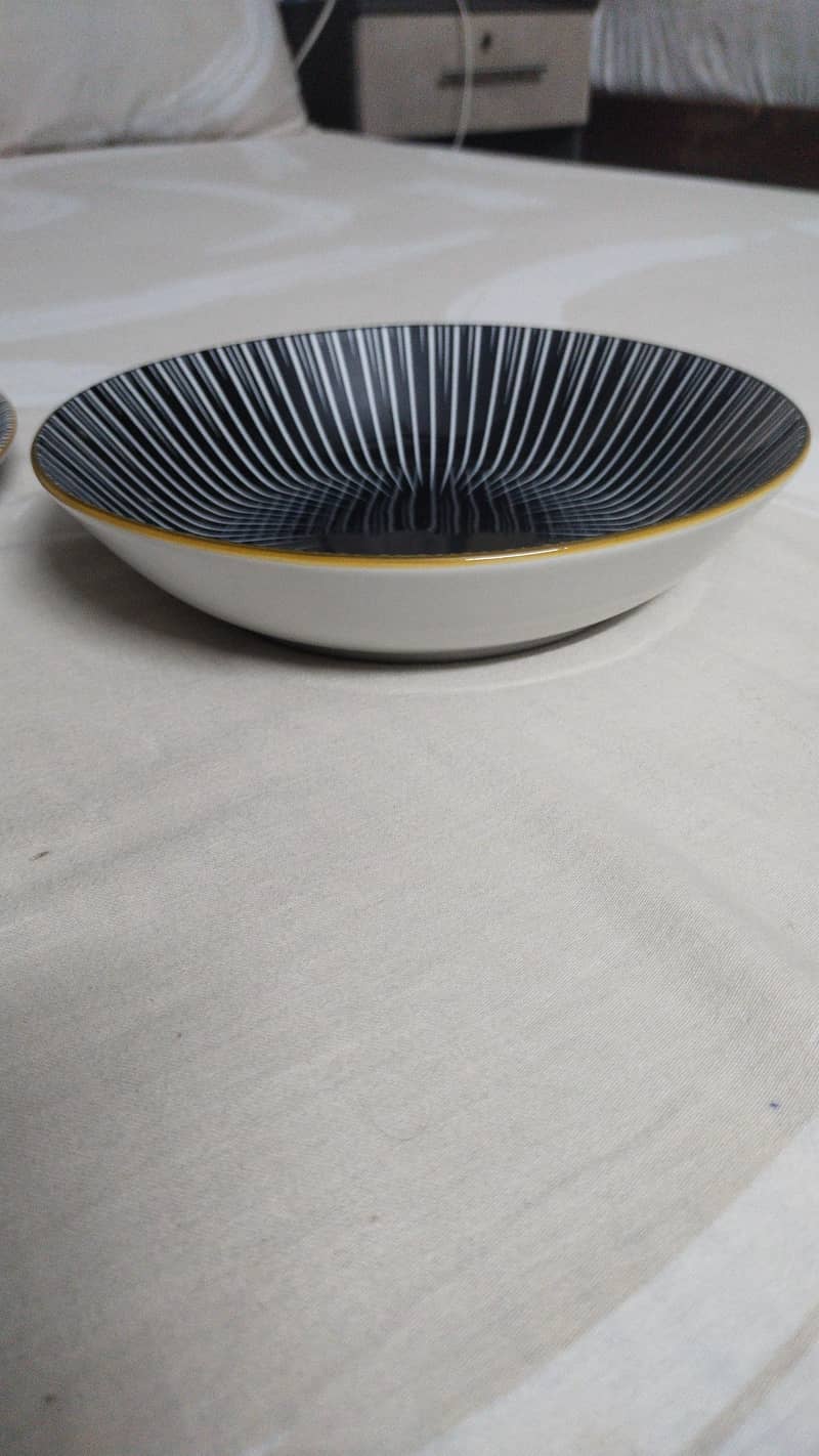 dinner plates 2
