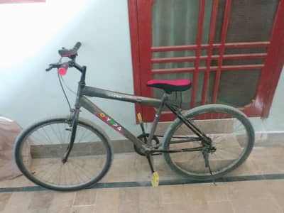 GT5 CYCLE
