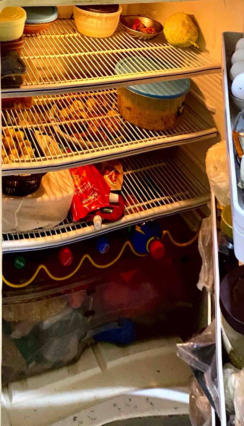 Fridge 1