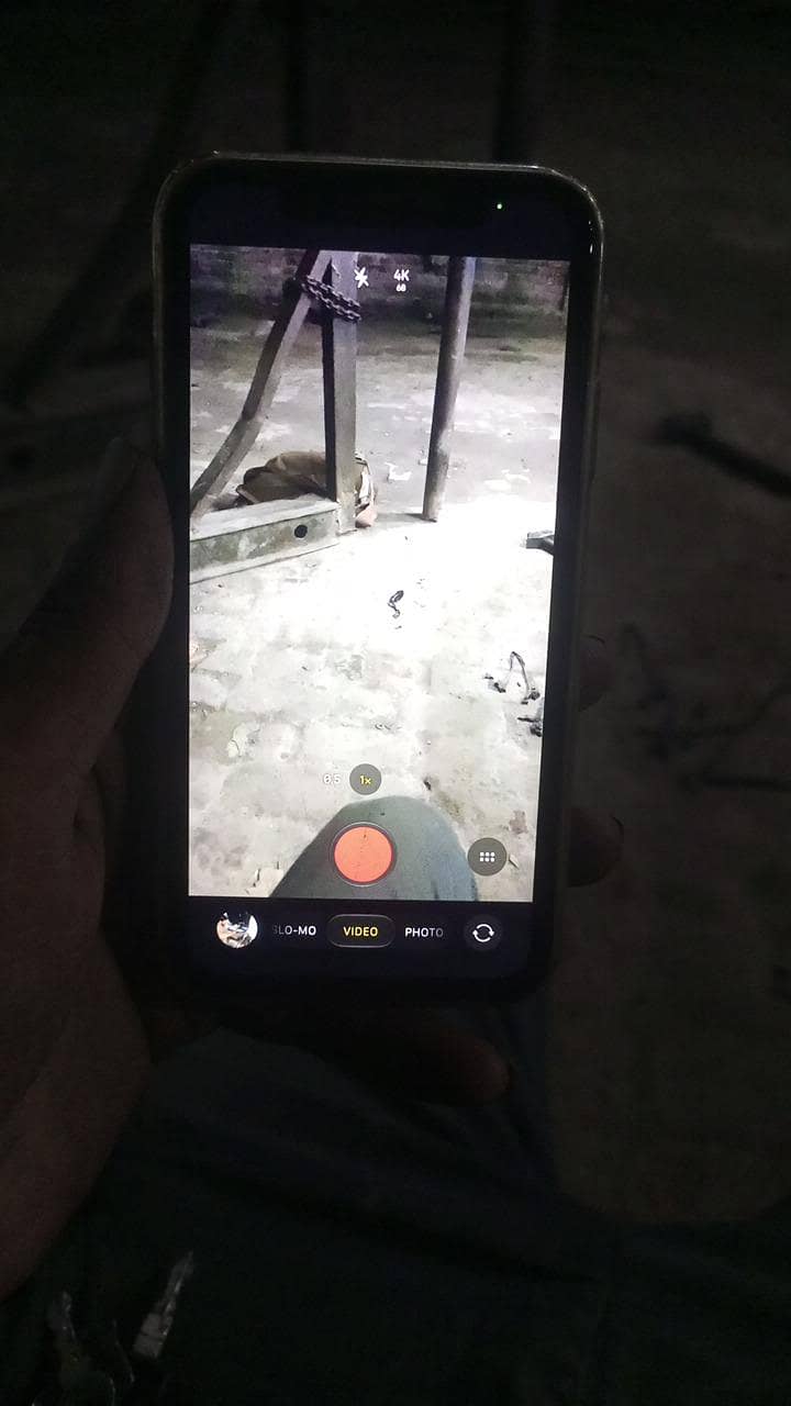Apple iPhone 11 1
