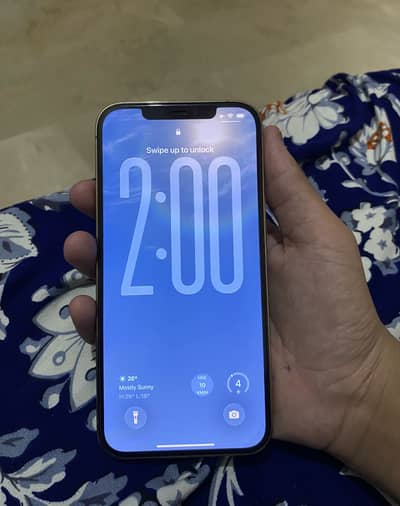Apple iPhone 12 Pro Max