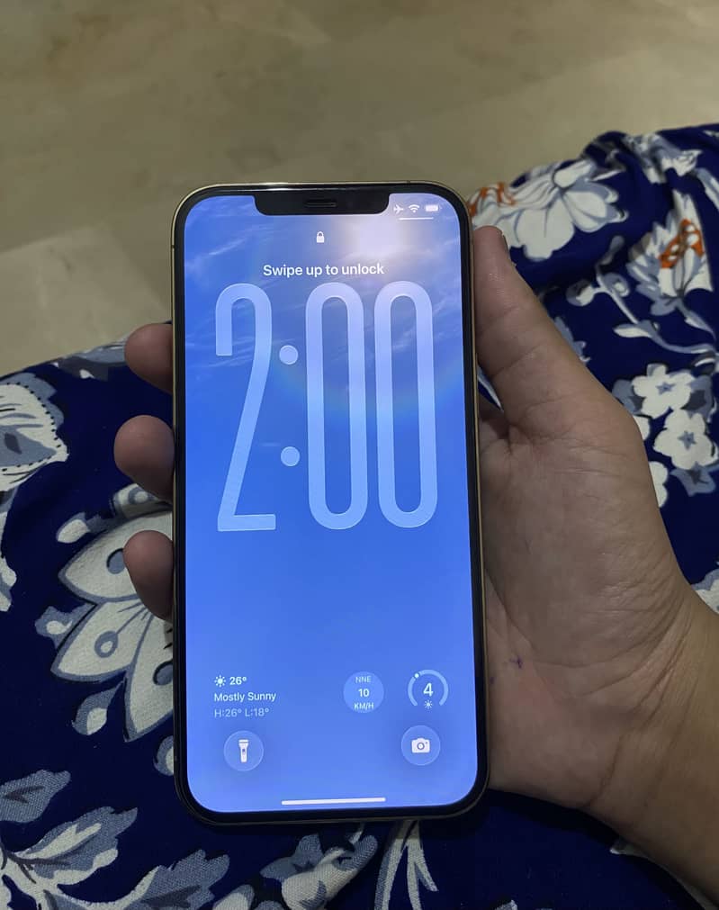 Apple iPhone 12 Pro Max 0