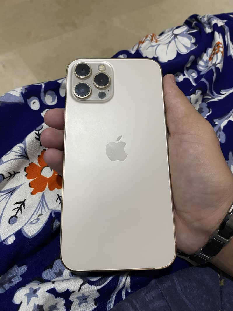 Apple iPhone 12 Pro Max 1