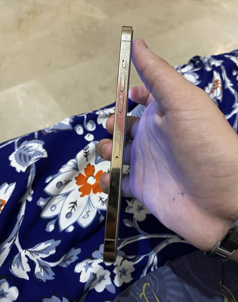 Apple iPhone 12 Pro Max 2