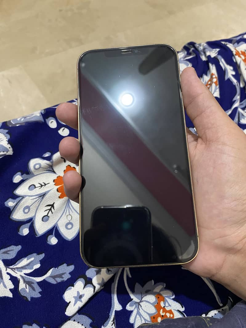 Apple iPhone 12 Pro Max 5