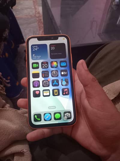 Apple iPhone XR all original 10/9.5
