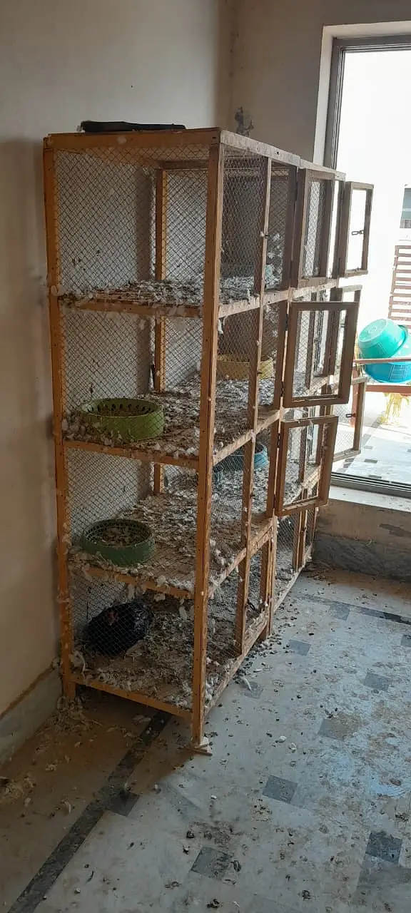 2 Cages for sale – 4 Khana Wale — photo 2
