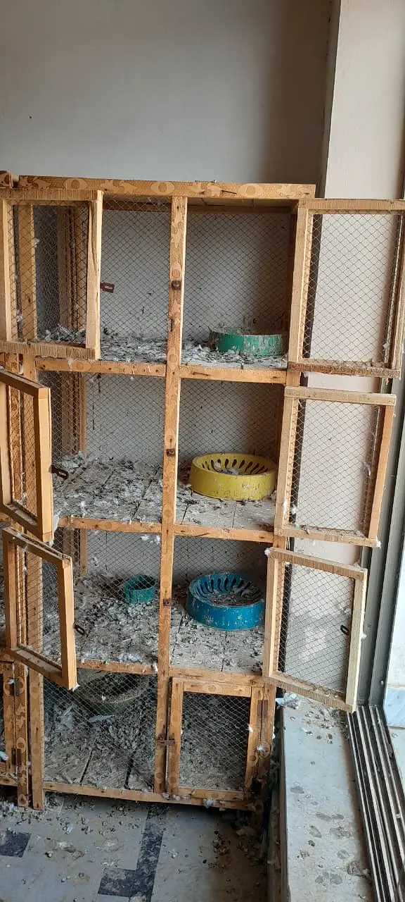 2 Cages for sale – 4 Khana Wale — photo 3