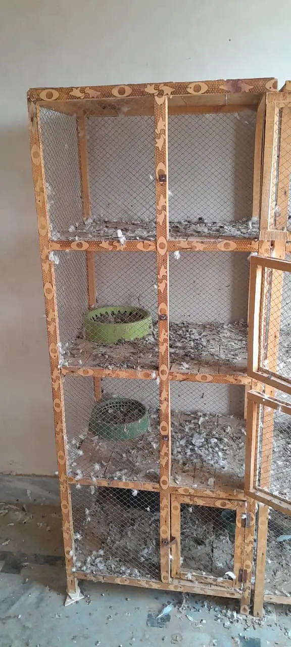 2 Cages for sale – 4 Khana Wale — photo 4