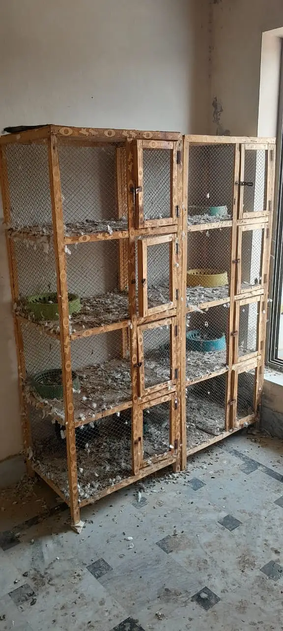 2 Cages for sale – 4 Khana Wale — photo 5