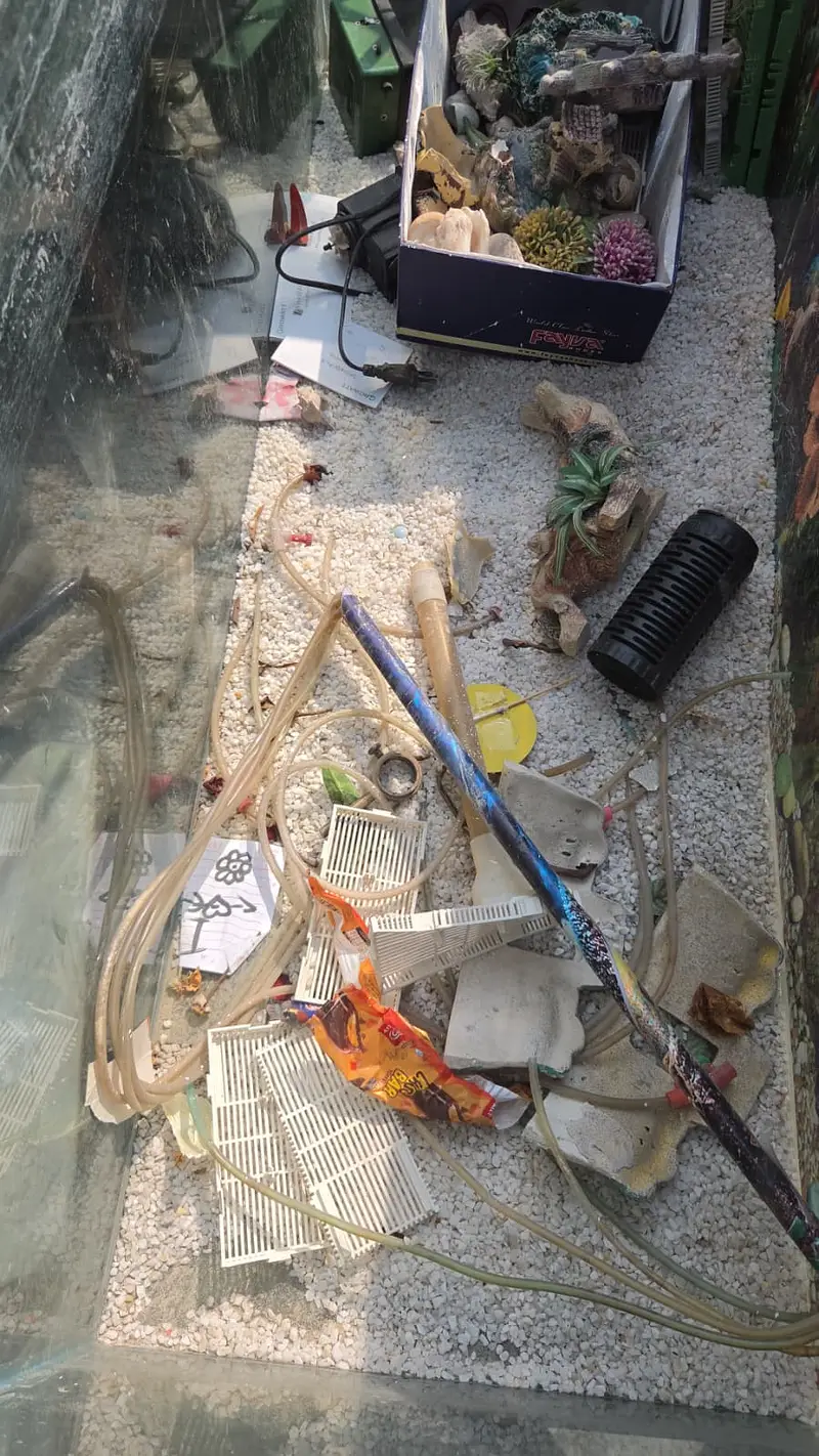 Fish Aquarium\Fish Aquarium Setup with Motor, Filter & Wooden Stand Ta — photo 6
