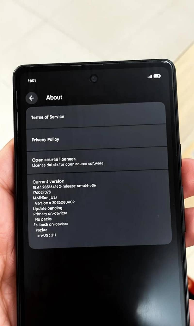Google Pixel 6a 1