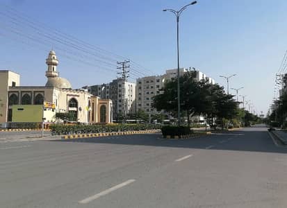 Aesthetic Flat Of 12 Marla For rent Is Available