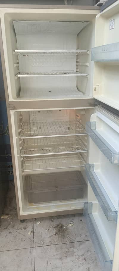 hair fridge