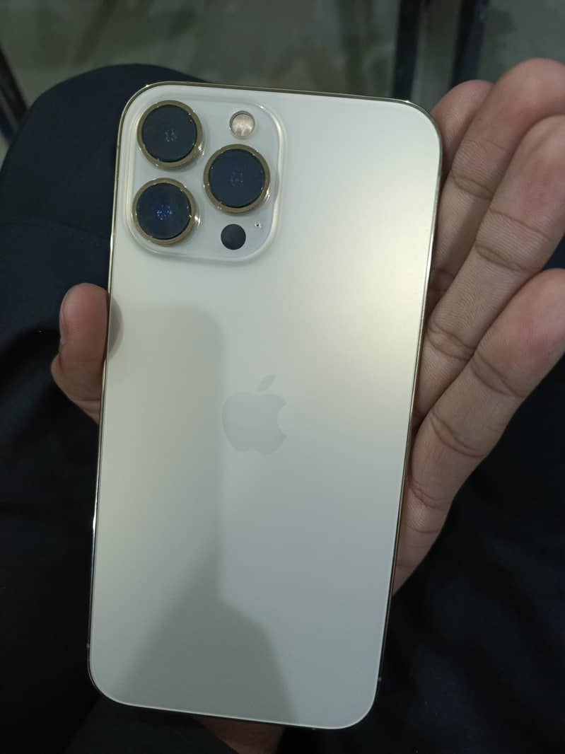 Apple iPhone 13 Pro Max 1