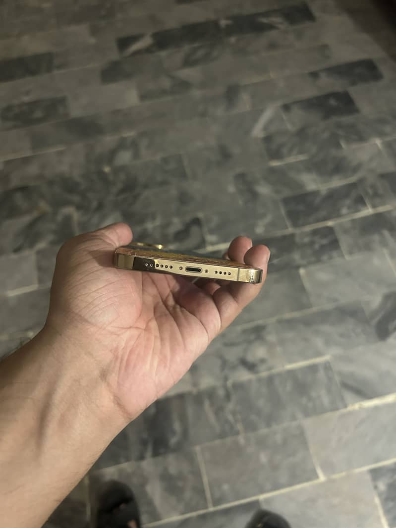 Apple iPhone 12 Pro Max 1