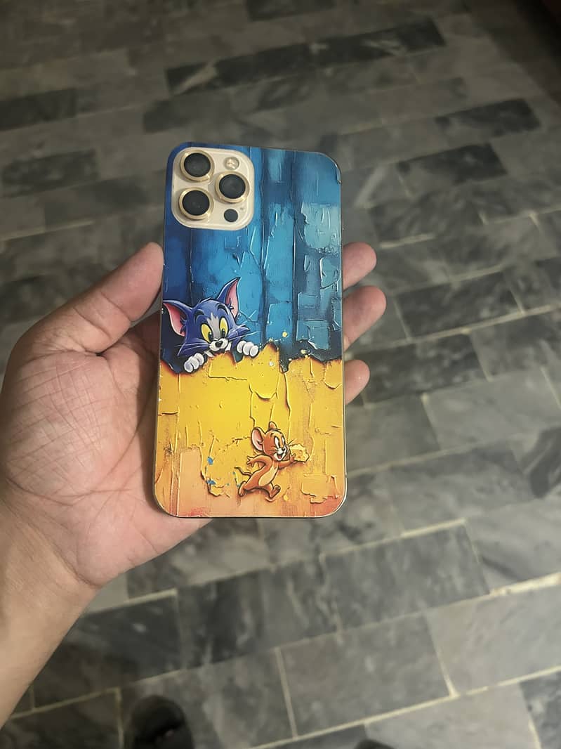 Apple iPhone 12 Pro Max 2