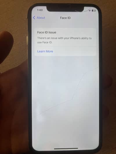 Apple iPhone X non pta baypass 256 GB