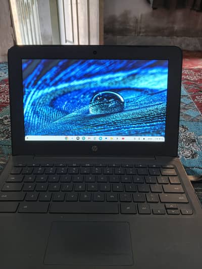 HP Chromebook