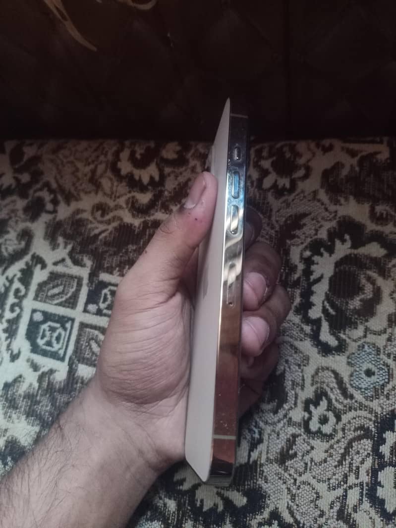 Apple iPhone 13 Pro 1