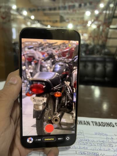 Apple iPhone 13 Pro Max