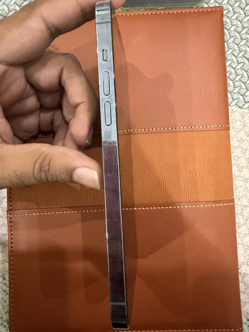 Apple iPhone 13 Pro Max 4