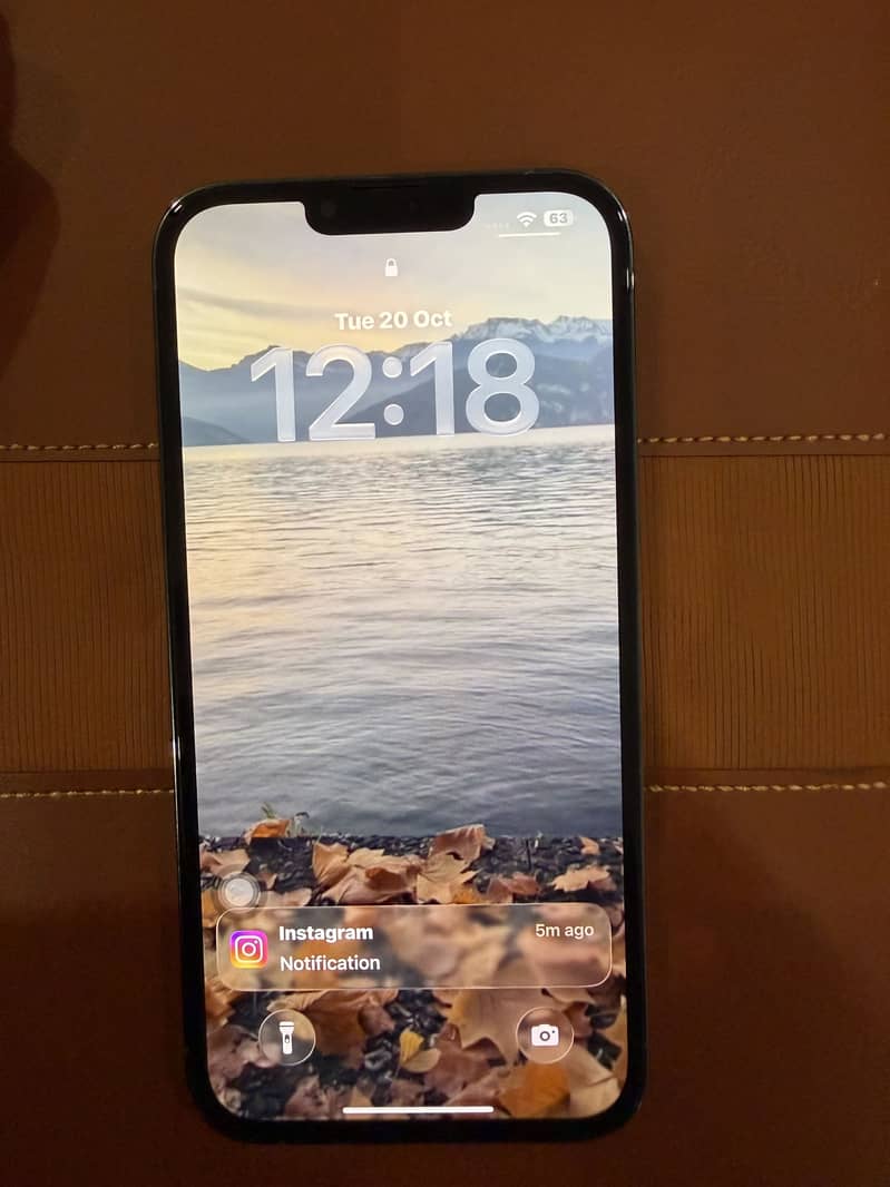 Apple iPhone 13 Pro Max 5