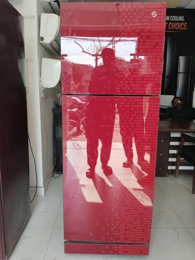 PEL large size energy saving class door fridge/0321/0833328/