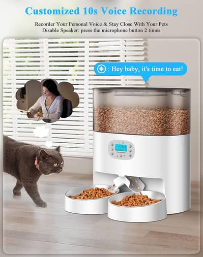 cat food dispenser
