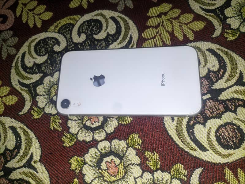 Apple iPhone XR 6