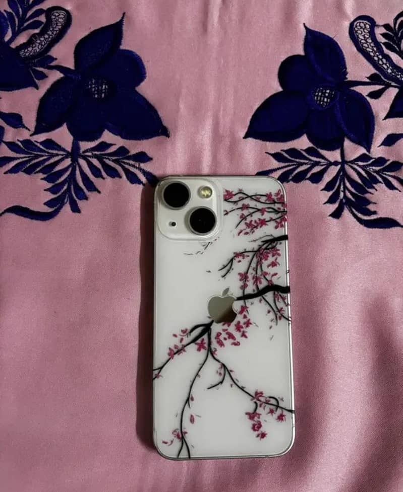 Apple iPhone 13 mini 0