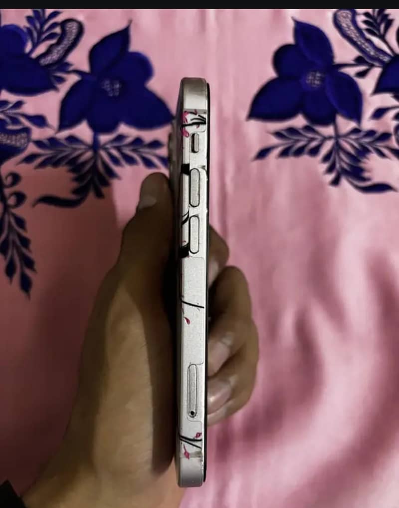 Apple iPhone 13 mini 1