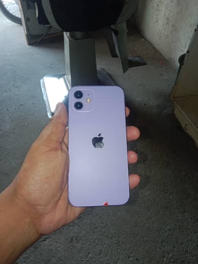 Apple iPhone 12