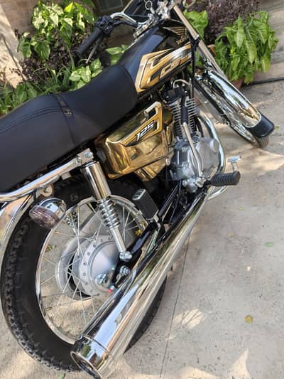 Golden Edition FoR Sale 10/10