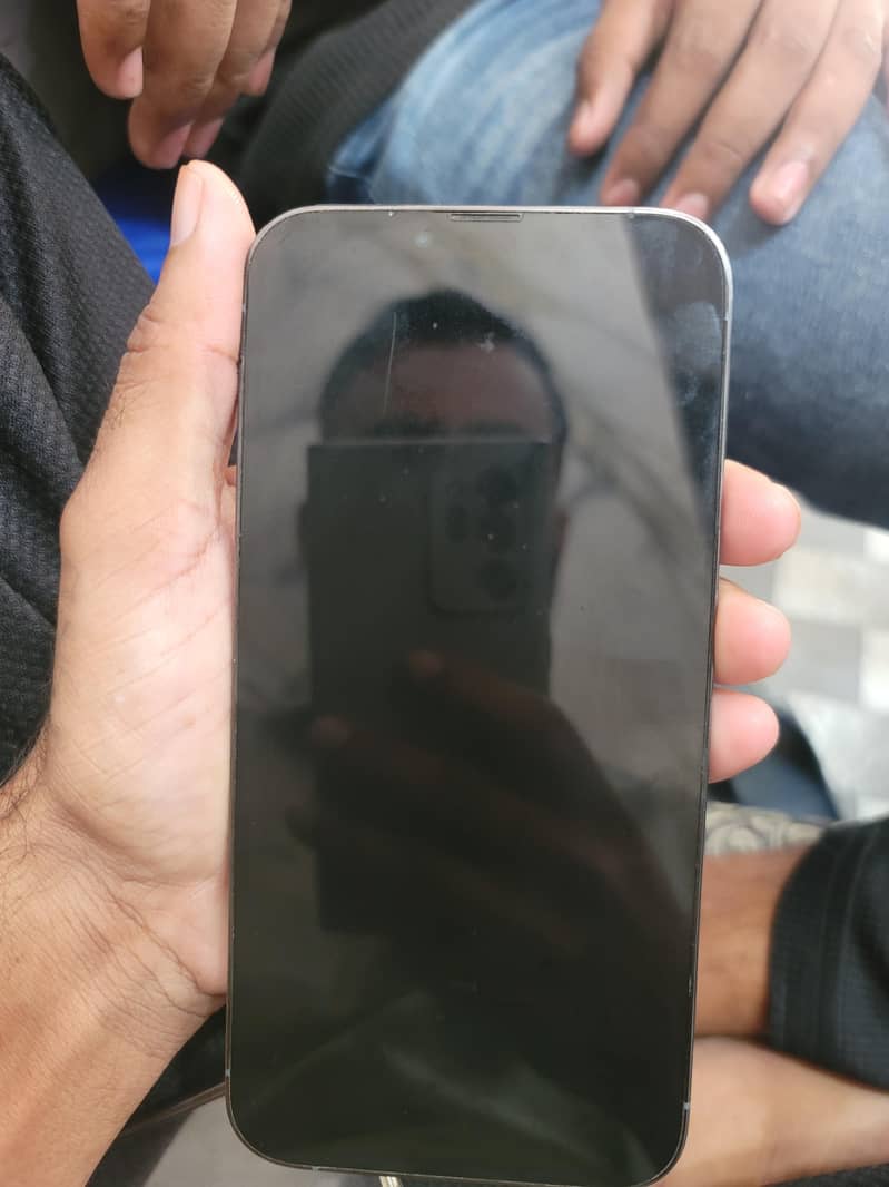 Apple iPhone 13 Pro Max 1