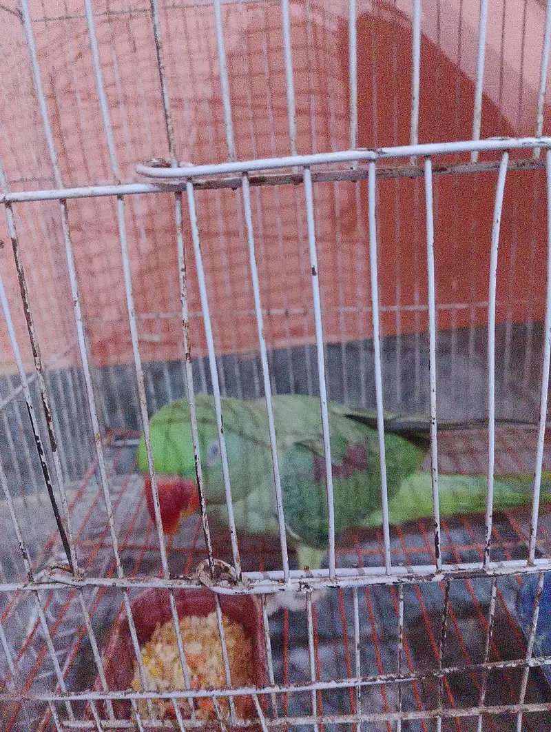 female — photo 5