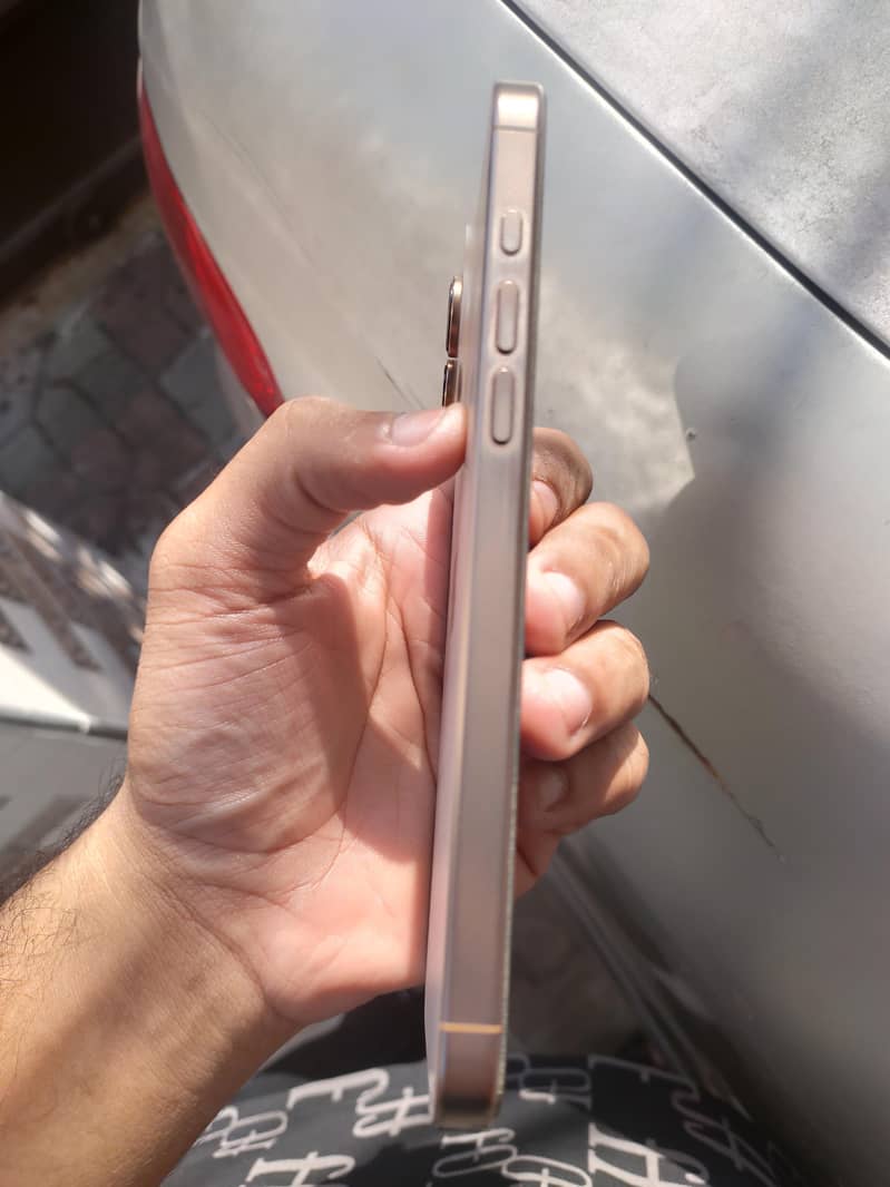 Apple iPhone 16 Pro Max 1