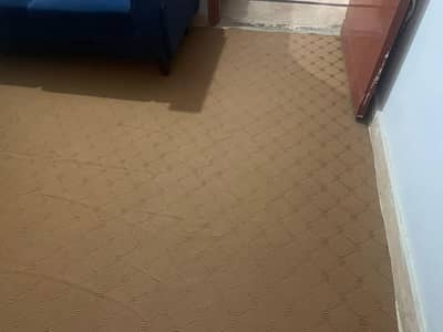 Brwon Carpet 11 x 11 feet size