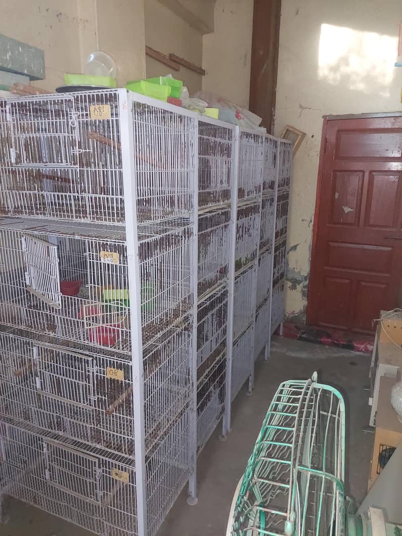 cages 0
